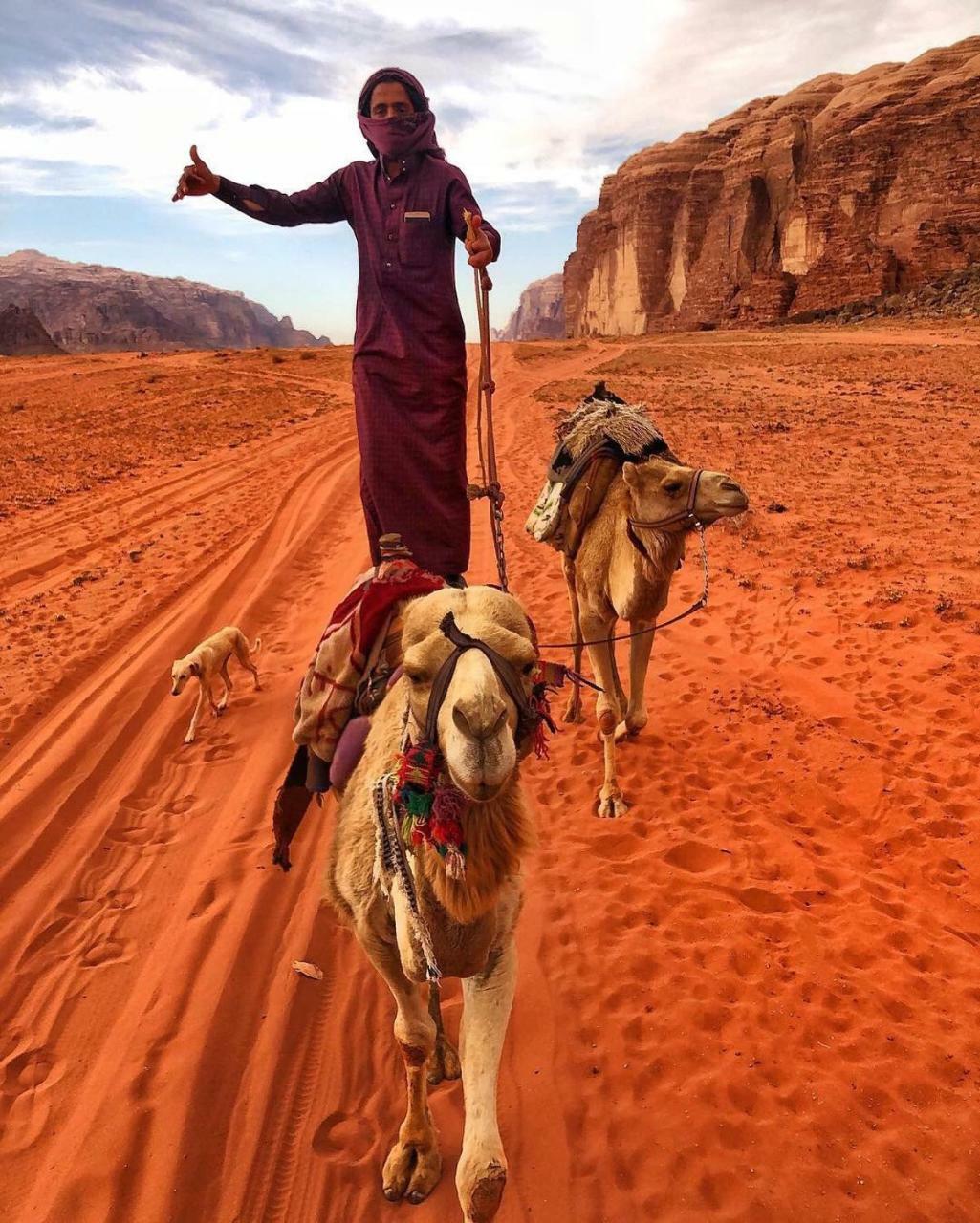 Desert Sunset & Tour Hotel Wadi Rum Esterno foto